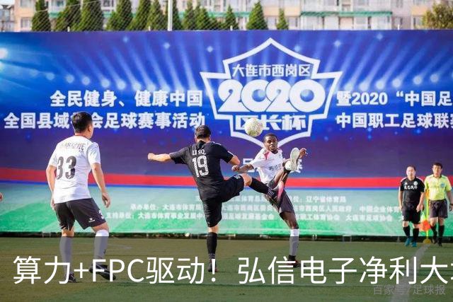 算力+FPC驱动！弘信电子净利大增139%，股价较年内高点回撤超40%